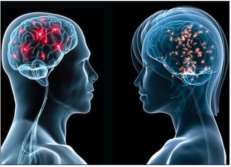 5月2号，医药经济报上发表了关于陈春麟博士的报道——CRO的中国式崛起路径