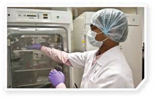 CellRep：古老病毒或可作为基因疗法的载体