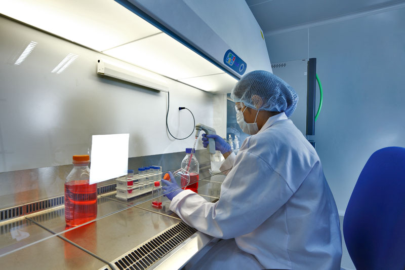 2015年度中国药品批准盘点：化药不批准率超20%，中药上市数量翻3倍