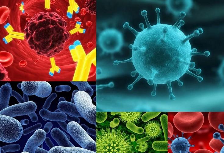 肿瘤免疫疗法：战略对头战术乏力