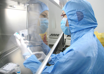 美FDA：“中华牛鞭”含隐藏成分或与部分处方药反应