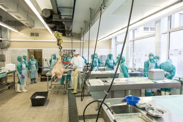 全球医药市场超万亿美元，Top10累计份额超过三成