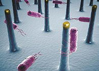 未来的药丸里，可能有一万亿个人工改造的细菌？