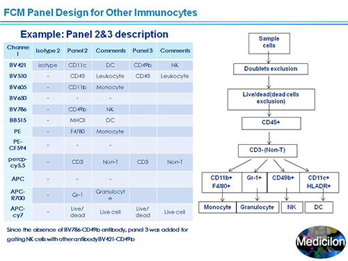 不朽情缘mg官网副总裁汪俊博士SAPA-DC会议演讲PPT