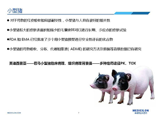 皮肤涂抹试验中，受试动物选择小型猪更好