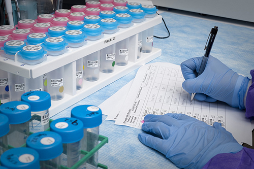 浅谈：创新药物IND申请之药学研究