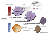 浅析：ADC药物的抗癌之路