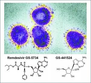 基于细胞因子风暴和免疫炎症反应综合征，很多免疫相关靶点也可以列为冠状病毒的靶点。