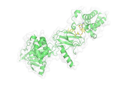 PROTAC技术，马兴泉