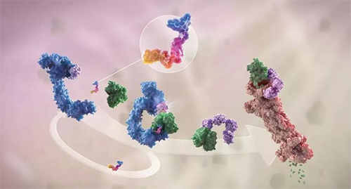 LYTAC出世，与PROTAC并肩作战针对不可成药的靶点