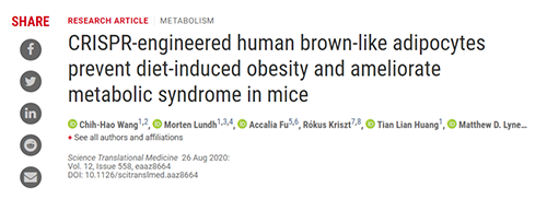 Science|聚焦CRISPR：改造脂肪细胞，“躺瘦”可能要成真了？