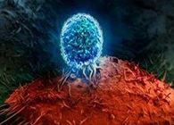 Nature：BATF3改善T细胞记忆应答，有望改善免疫疗法的疗效