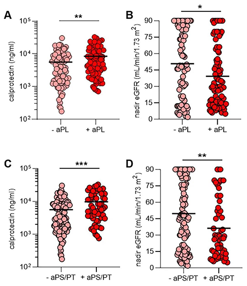 aPL抗体、NET释放和肾功能