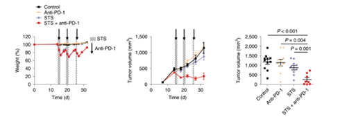 与对照组及仅使用PD-1疗法的模型小鼠对比，采用短期饥饿配合PD-1疗法的393P细胞同源移植肿瘤小鼠体内的肿瘤体积有了明显的收缩。
