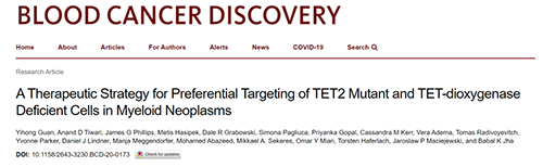 研究者描述了一种新型靶向抗癌药物，这种药物可能会有效地治疗某些常见的白血病。