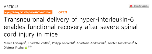 Nature：还瘫痪患者一个自由身的日子不远了