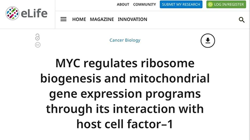 可以“融化”肿瘤的蛋白质，你一定没有听说过！