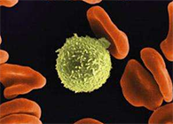 Science子刊：一种FDA批准的抗腹泻药物可有效对抗化疗的耐药性