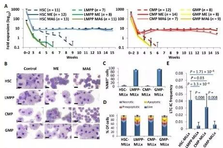 Science子刊：一种FDA批准的抗腹泻药物可有效对抗化疗的耐药性 不朽情缘mg官网生物医药