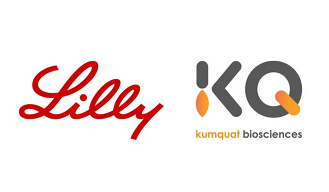 ：兀〔恍嗲樵祄g官网合作伙伴Kumquat Biosciences与礼来达成合作，共同开发肿瘤免疫小分子药