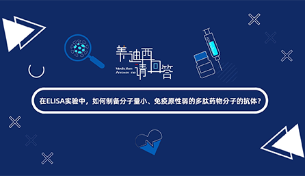 在ELISA实验，如何制备分子量小、免疫原性弱的多肽药物分子的抗体？