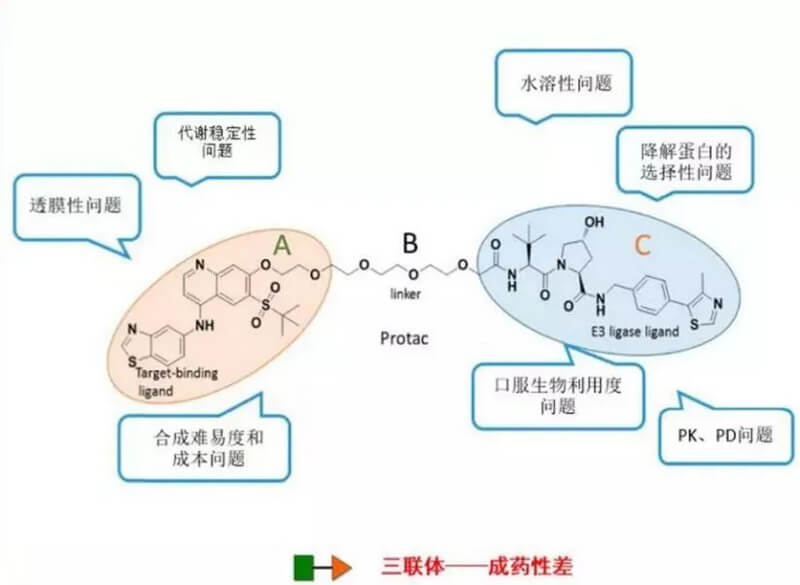 PROTAC分子量较大，溶解性较差.jpg