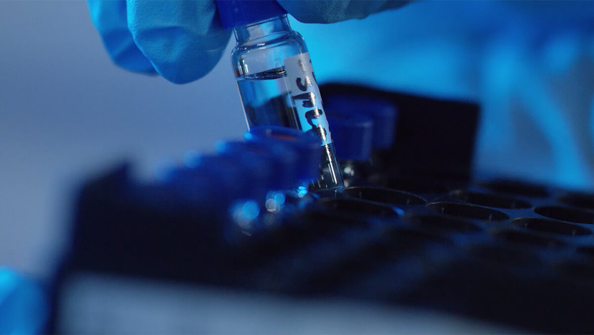 小分子药物发现：医学突破的力量