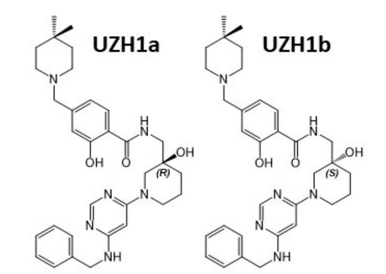 研究人员报告了一种具有细胞渗透性的选择性METTL3纳摩尔抑制剂UZH1a，作者感谢不朽情缘mg官网合成了UZH1a和UZH1b