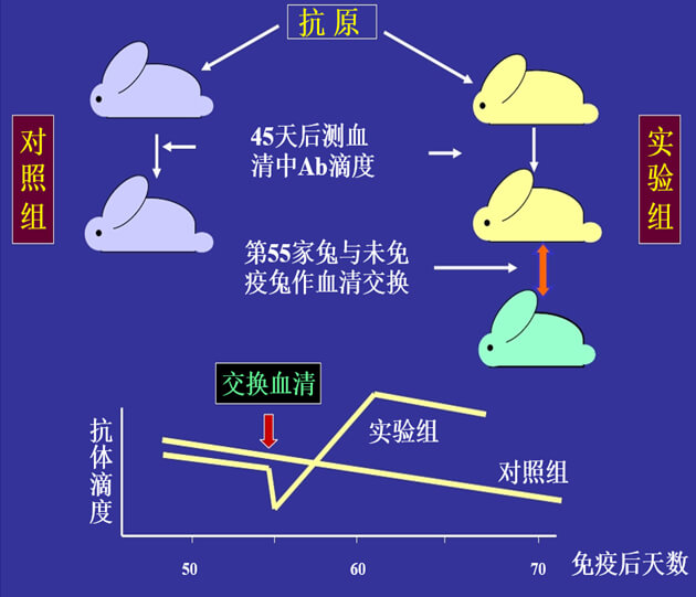 Figure-1：机体对抗体浓度变化的感知与反馈性自我调节.jpg