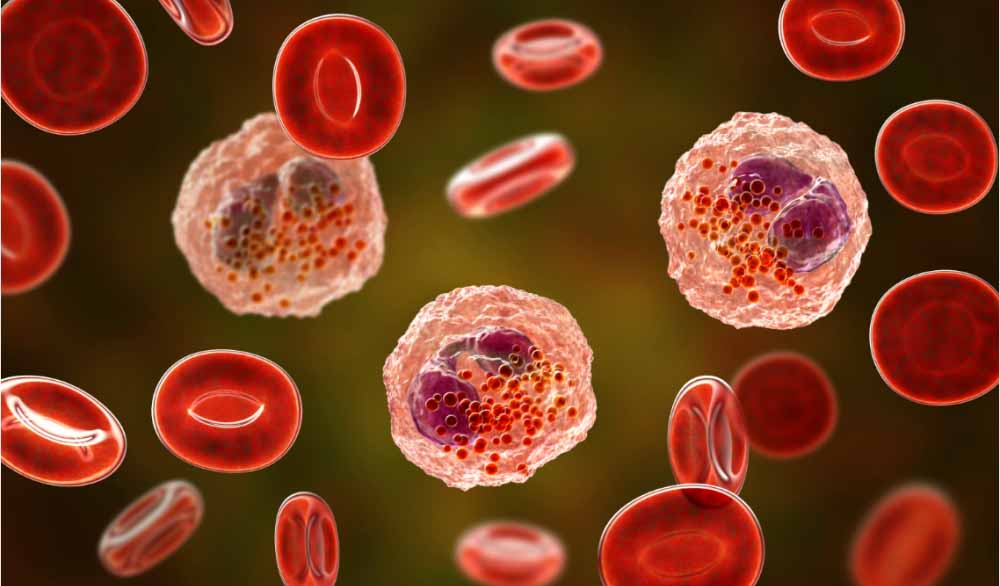 不朽情缘mg官网助力 | 全球首创！宇耀生物STAT3双磷酸化抑制剂YY201获批临床.jpg