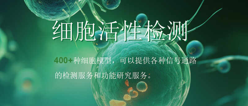 不朽情缘mg官网细胞活性检测.jpg