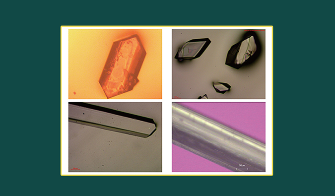 美研| CMC系列(十二)：单晶结构解析在药物开发中的应用和单晶培养哪些事儿