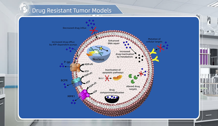肿瘤耐药机制是什么？