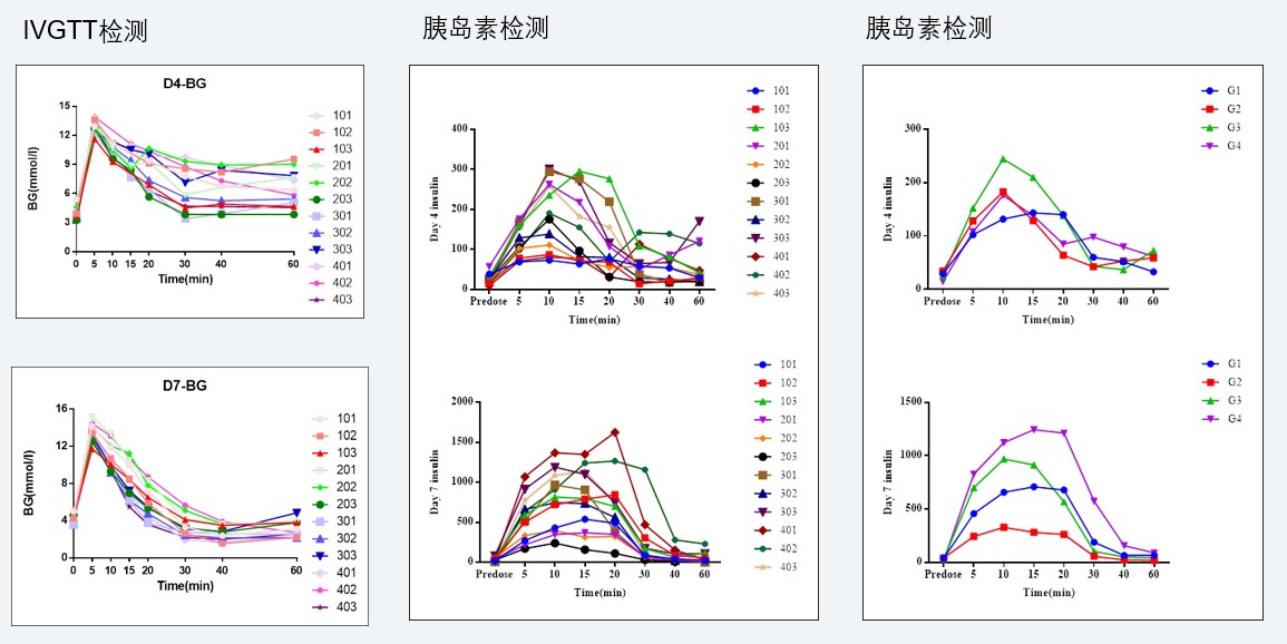 案例4：食蟹猴IVGTT和胰岛素检测实验.jpg