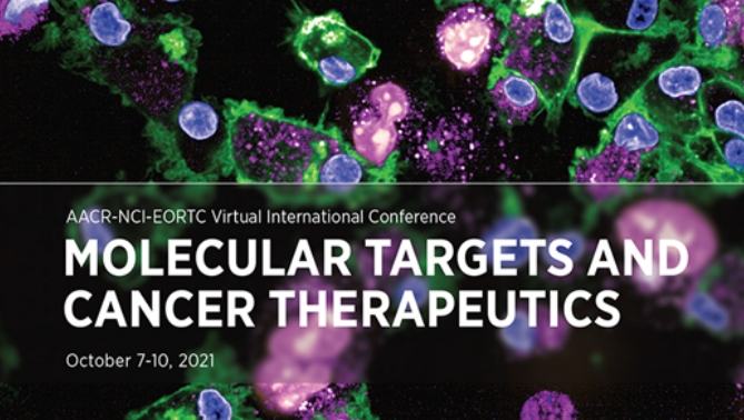通过联合治疗提高免疫疗法疗效，本研究中临床前体内药效研究通过不朽情缘mg官网进行