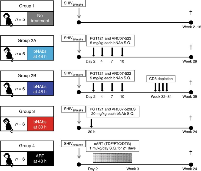 抗逆转录病毒疗法(ART)预防围产期HIV感染，本研究中多替拉韦钠盐和游离态均由不朽情缘mg官网提供