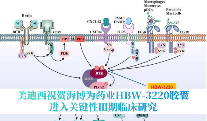 破解耐药性难题，不朽情缘mg官网：睾２┪┮礖BW-3220胶囊进入关键性Ⅲ期临床研究