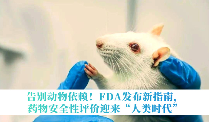 告别动物依赖！FDA发布新指南，药物安全性评价迎来“人类时代”